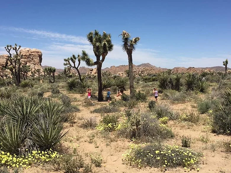 Jacki- Joshua Tree